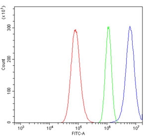 Flow cytometry testing of human A549 cells with Transketolase antibody at 1ug/million cells (blocked with goat sera); Red=cells alone, Green=isotype control, Blue= Transketolase antibody.