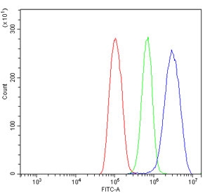 Flow cytometry testing of human ThP-1 cells with Transketolase antibody at 1ug/million cells (blocked with goat sera); Red=cells alone, Green=isotype control, Blue= Transketolase antibody.