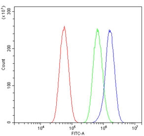 SIGLEC-4a Antibody Human Glioblastoma Cell FACS. Flow cytometry analysis of fixed and permeabilized human U-87 MG glioblastoma cells using SIGLEC-4a antibody at 1 ug/10^6 cells following blocking with goat serum. Red: cells alone. Green: isotype control. Blue: SIGLEC-4a antibody. A clear rightward shift of the antibody-stained population relative to the isotype control demonstrates specific detection of endogenous SIGLEC-4a expression in U-87 MG cells. This result shows that SIGLEC-4a antibody, also known as a Sialic Acid Binding Immunoglobulin Like Lectin 4A antibody, is suitable for flow cytometric analysis of human glioblastoma cells.
