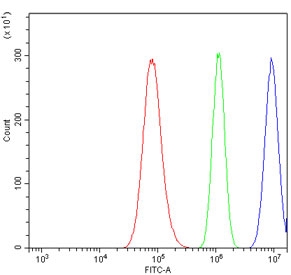 Flow cytometry testing of human A549 cells with U2AF2 antibody at 1ug/million cells (blocked with goat sera); Red=cells alone, Green=isotype control, Blue= U2AF2 antibody.