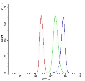 Flow cytometry testing of human MCF7 cells with DDX1 antibody at 1ug/million cells (blocked with goat sera); Red=cells alone, Green=isotype control, Blue= DDX1 antibody.