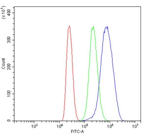 Flow cytometry testing of human MCF7 cells with DDX1 antibody at 1ug/million cells (blocked with goat sera); Red=cells alone, Green=isotype control, Blue= DDX1 antibody.