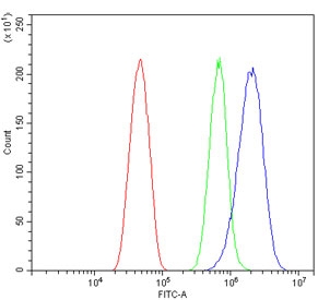 Flow cytometry testing of mouse HEPA1-6 cells with ATP5MC1/2/3 antibody at 1ug/million cells (blocked with goat sera); Red=cells alone, Green=isotype control, Blue= ATP5MC1/2/3 antibody.