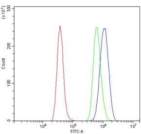 Flow cytometry testing of rat RH35 cells with ATP5MC1/2/3 antibody at 1ug/million cells (blocked with goat sera); Red=cells alone, Green=isotype control, Blue= ATP5MC1/2/3 antibody.