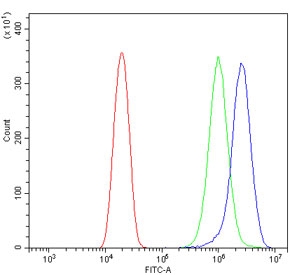 Flow cytometry testing of human U-2 OS cells with ABCB1 antibody at 1ug/million cells (blocked with goat sera); Red=cells alone, Green=isotype control, Blue= ABCB1 antibody.
