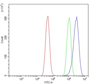 Flow cytometry testing of human A431 cells with MAP2K2 antibody at 1ug/million cells (blocked with goat sera); Red=cells alone, Green=isotype control, Blue= MAP2K2 antibody.