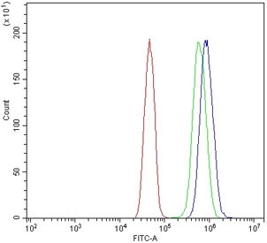 Flow cytometry testing of human U-251 cells with BCL3 antibody at 1ug/million cells (blocked with goat sera); Red=cells alone, Green=isotype control, Blue= BCL3 antibody.