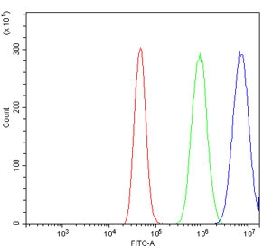 Flow cytometry testing of human A431 cells with TORC1/CRTC1 antibody at 1ug/million cells (blocked with goat sera); Red=cells alone, Green=isotype control, Blue= TORC1/CRTC1 antibody.