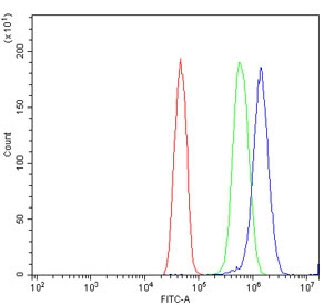 Flow cytometry testing of human U-251 cells with VPRBP antibody at 1ug/million cells (blocked with goat sera); Red=cells alone, Green=isotype control, Blue= VPRBP antibody.