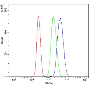 Flow cytometry testing of human U937 cells with Huntingtin-associated protein 1 antibody at 1ug/million cells (blocked with goat sera); Red=cells alone, Green=isotype control, Blue= Huntingtin-associated protein 1 antibody.