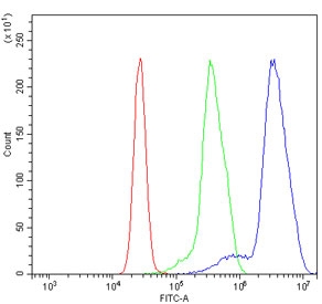 Flow cytometry testing of human K562 cells with hnRNP H3 antibody at 1ug/million cells (blocked with goat sera); Red=cells alone, Green=isotype control, Blue= hnRNP H3 antibody.