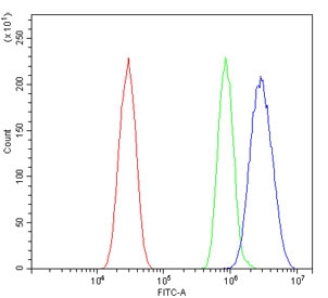 Irf3 Antibody HEPA-1 FACS. Flow cytometry testing of mouse HEPA1-6 cells with Irf3 antibody at 1ug/million cells (blocked with goat sera); Red=cells alone, Green=isotype control, Blue= Irf3 antibody.