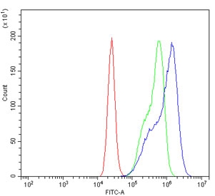 Flow cytometry testing of human Caco-2 cells with MT2-MMP antibody at 1ug/million cells (blocked with goat sera); Red=cells alone, Green=isotype control, Blue= MT2-MMP antibody.
