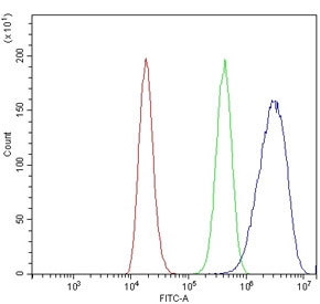 Flow cytometry testing of human 293T cells with NCAM1 antibody at 1ug/million cells (blocked with goat sera); Red=cells alone, Green=isotype control, Blue= NCAM1 antibody.