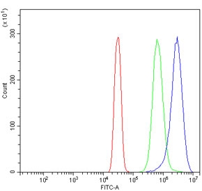 Flow cytometry testing of human SiHa cells with Poliovirus Receptor antibody at 1ug/million cells (blocked with goat sera); Red=cells alone, Green=isotype control, Blue= Poliovirus Receptor antibody.