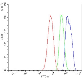 Flow cytometry testing of human HepG2 cells with SOX18 antibody at 1ug/million cells (blocked with goat sera); Red=cells alone, Green=isotype control, Blue= SOX18 antibody.