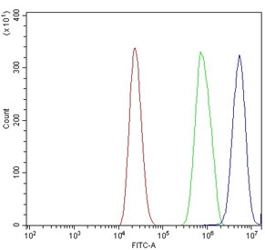 Flow cytometry testing of mouse RAW264.7 cells with Trim25 antibody at 1ug/million cells (blocked with goat sera); Red=cells alone, Green=isotype control, Blue= Trim25 antibody.
