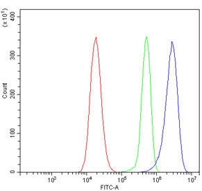 Flow cytometry testing of human 293T cells with ANG2 antibody at 1ug/million cells (blocked with goat sera); Red=cells alone, Green=isotype control, Blue= ANG2 antibody.