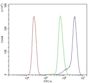 Flow cytometry testing of human U937 cells with Vesicle-fusing ATPase antibody at 1ug/million cells (blocked with goat sera); Red=cells alone, Green=isotype control, Blue= Vesicle-fusing ATPase antibody.