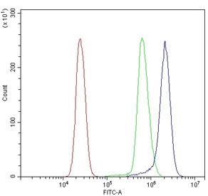 Flow cytometry testing of human U937 cells with PDI antibody at 1ug/million cells (blocked with goat sera); Red=cells alone, Green=isotype control, Blue= PDI antibody.