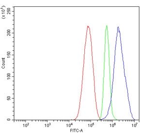 Flow cytometry testing of human HepG2 cells with Prohibitin 2 antibody at 1ug/million cells (blocked with goat sera); Red=cells alone, Green=isotype control, Blue= Prohibitin 2 antibody.