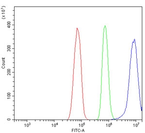 Flow cytometry testing of rat RH35 cells with APOA5 antibody at 1ug/million cells (blocked with goat sera); Red=cells alone, Green=isotype control, Blue= APOA5 antibody.