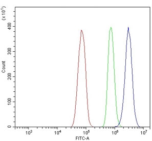 Flow cytometry testing of rat RH35 cells with ADP-ribosylation factor 6 antibody at 1ug/10^6 cells (blocked with goat sera); Red=cells alone, Green=isotype control, Blue= ADP-ribosylation factor 6 antibody.
