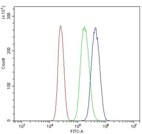 Flow cytometry testing of human U937 cells with Caspase-9 antibody at 1ug/million cells (blocked with goat sera); Red=cells alone, Green=isotype control, Blue= Caspase-9 antibody.
