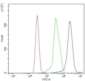 Indoleamine 2,3-Dioxygenase 2 Antibody K562 Cell FACS. Flow cytometry analysis of human K562 cells using Indoleamine 2,3-Dioxygenase 2 Antibody shows a clear rightward shift of the blue histogram relative to the isotype control (green) and unstained cells (red), indicating detection of IDO2 / INDOL1 expression. The intracellular signal distribution supports specific antibody binding to this tryptophan metabolism enzyme involved in immune-associated metabolic regulation.