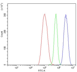 Flow cytometry testing of human ThP-1 cells with Ku70 antibody at 1ug/million cells (blocked with goat sera); Red=cells alone, Green=isotype control, Blue= Ku70 antibody.
