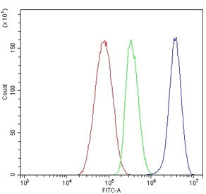 Flow cytometry testing of human HepG2 cells with PFAS antibody at 1ug/million cells (blocked with goat sera); Red=cells alone, Green=isotype control, Blue= PFAS antibody.