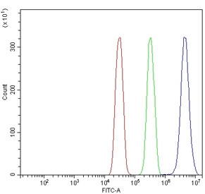 Flow cytometry testing of human SiHa cells with PRDM14 antibody at 1ug/million cells (blocked with goat sera); Red=cells alone, Green=isotype control, Blue= PRDM14 antibody.