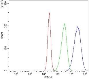 Flow cytometry testing of human Caco-2 cells with TBX4 antibody at 1ug/million cells (blocked with goat sera); Red=cells alone, Green=isotype control, Blue= TBX4 antibody.