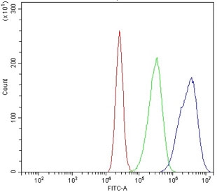 Flow cytometry testing of human Caco-2 cells with ZO2 antibody at 1ug/million cells (blocked with goat sera); Red=cells alone, Green=isotype control, Blue= ZO2 antibody.