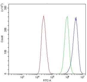 Flow cytometry testing of human MCF7 cells with ACVRL1 antibody at 1ug/million cells (blocked with goat sera); Red=cells alone, Green=isotype control, Blue= ACVRL1 antibody.