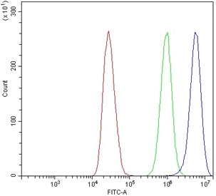 Flow cytometry testing of human MCF7 cells with Claudin 3 antibody at 1ug/million cells (blocked with goat sera); Red=cells alone, Green=isotype control, Blue= Claudin 3 antibody.