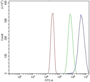 Flow cytometry testing of human SiHa cells with DCTN1 antibody at 1ug/million cells (blocked with goat sera); Red=cells alone, Green=isotype control, Blue= DCTN1 antibody.