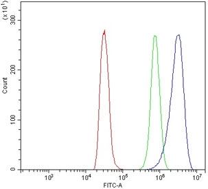 Flow cytometry testing of rat NRK cells with DYNLL1 antibody at 1ug/million cells (blocked with goat sera); Red=cells alone, Green=isotype control, Blue= DYNLL1 antibody.