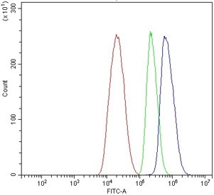 Flow cytometry testing of human HepG2 cells with HFH-4 antibody at 1ug/million cells (blocked with goat sera); Red=cells alone, Green=isotype control, Blue= HFH-4 antibody.