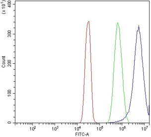 Flow cytometry testing of human SiHa cells with MIEF1 antibody at 1ug/million cells (blocked with goat sera); Red=cells alone, Green=isotype control, Blue= MIEF1 antibody.