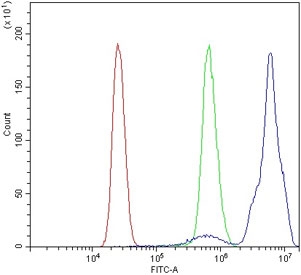 Flow cytometry testing of human U937 cells with B-Myb antibody at 1ug/million cells (blocked with goat sera); Red=cells alone, Green=isotype control, Blue= B-Myb antibody.