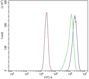 Flow cytometry testing of human Caco-2 cells with PFKFB2 antibody at 1ug/million cells (blocked with goat sera); Red=cells alone, Green=isotype control, Blue= PFKFB2 antibody.