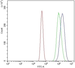 Flow cytometry testing of human A431 cells with XRN2 antibody at 1ug/million cells (blocked with goat sera); Red=cells alone, Green=isotype control, Blue= XRN2 antibody.