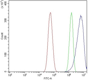 Flow cytometry testing of human U-87 MG cells with Antizyme inhibitor 2 antibody at 1ug/million cells (blocked with goat sera); Red=cells alone, Green=isotype control, Blue= Antizyme inhibitor 2 antibody.