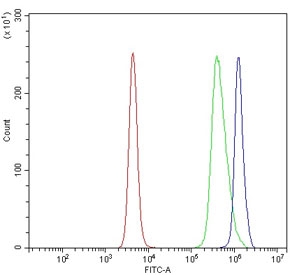 Flow cytometry testing of mouse spleen cells with Caspase 9 antibody at 1ug/million cells (blocked with goat sera); Red=cells alone, Green=isotype control, Blue= Caspase 9 antibody.