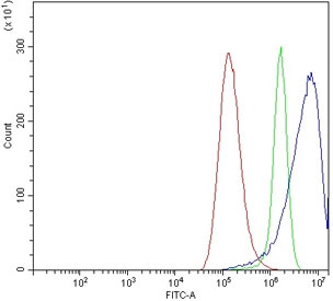 Flow cytometry testing of human A549 cells with Claudin 2 antibody at 1ug/million cells (blocked with goat sera); Red=cells alone, Green=isotype control, Blue= Claudin 2 antibody.