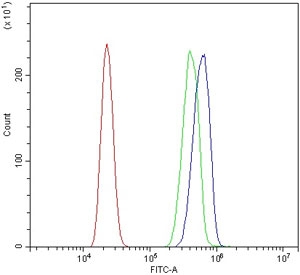 Flow cytometry testing of human HL60 cells with CYP3A4 antibody at 1ug/million cells (blocked with goat sera); Red=cells alone, Green=isotype control, Blue= CYP3A4 antibody.