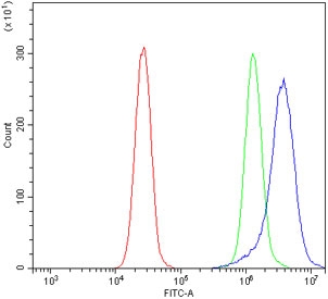 Flow cytometry testing of human K562 cells with Deoxyhypusine synthase antibody at 1ug/million cells (blocked with goat sera); Red=cells alone, Green=isotype control, Blue= Deoxyhypusine synthase antibody.