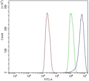 Flow cytometry testing of rat C6 cells with Dynamin 3 antibody at 1ug/million cells (blocked with goat sera); Red=cells alone, Green=isotype control, Blue= Dynamin 3 antibody.
