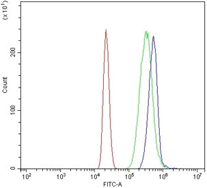DYSF Antibody HL60 FACS. Flow cytometric analysis of human HL60 cells using DYSF Antibody demonstrates a rightward shift of the blue population relative to the isotype control (green), consistent with detection of Dysferlin / DYSF expression. Dysferlin is a ferlin family membrane repair protein that participates in calcium-dependent membrane remodeling and cellular recovery following membrane injury. Cells were stained with 1 ug antibody per million cells following blocking with goat sera. Red = cells alone, Green = isotype control, Blue = DYSF antibody.